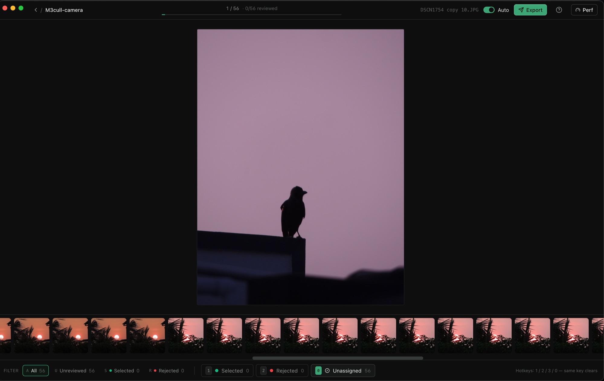m3cull review screen — full-size preview with filmstrip and keyboard hotkey hints